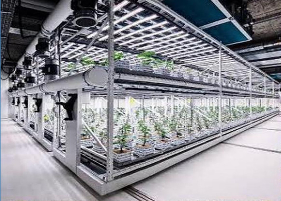 Sistema de hidroponía aeropónica personalizada para la plantación